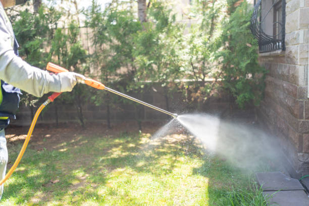 Best Mosquito Control  in Breaux Bridge, LA